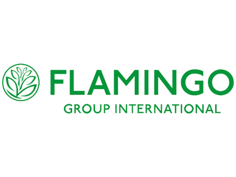 Green Flamingo Group International logo on a clear background