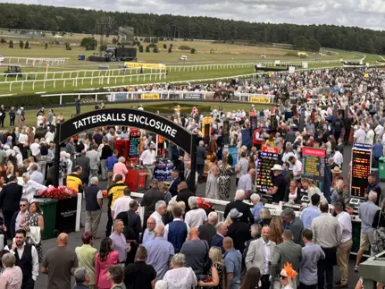 Market Rasen Tattersalls Enclosure August 2025