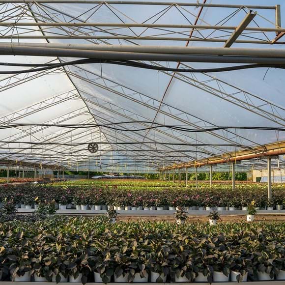 PSP To Develop CRM For Boston-Based Agriculture Business