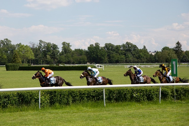 PSP Staff Enjoy Day At the Races